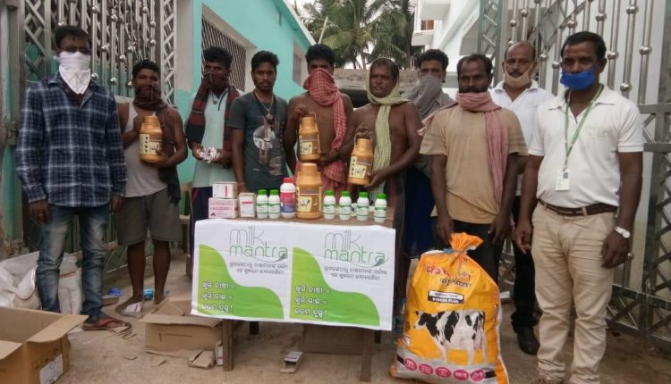 Milk Mantra supports flood-affected dairy farmers